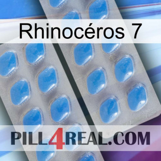 Rhinocéros 7 23